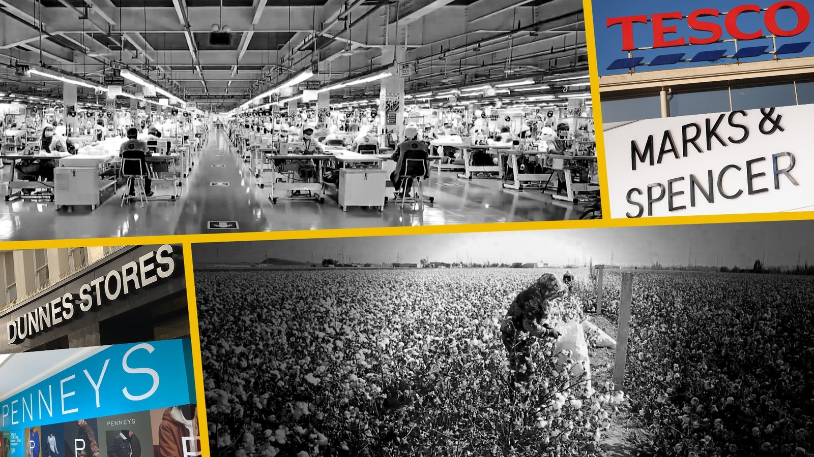 Suppliers to major Irish retailers linked to forced labour cotton