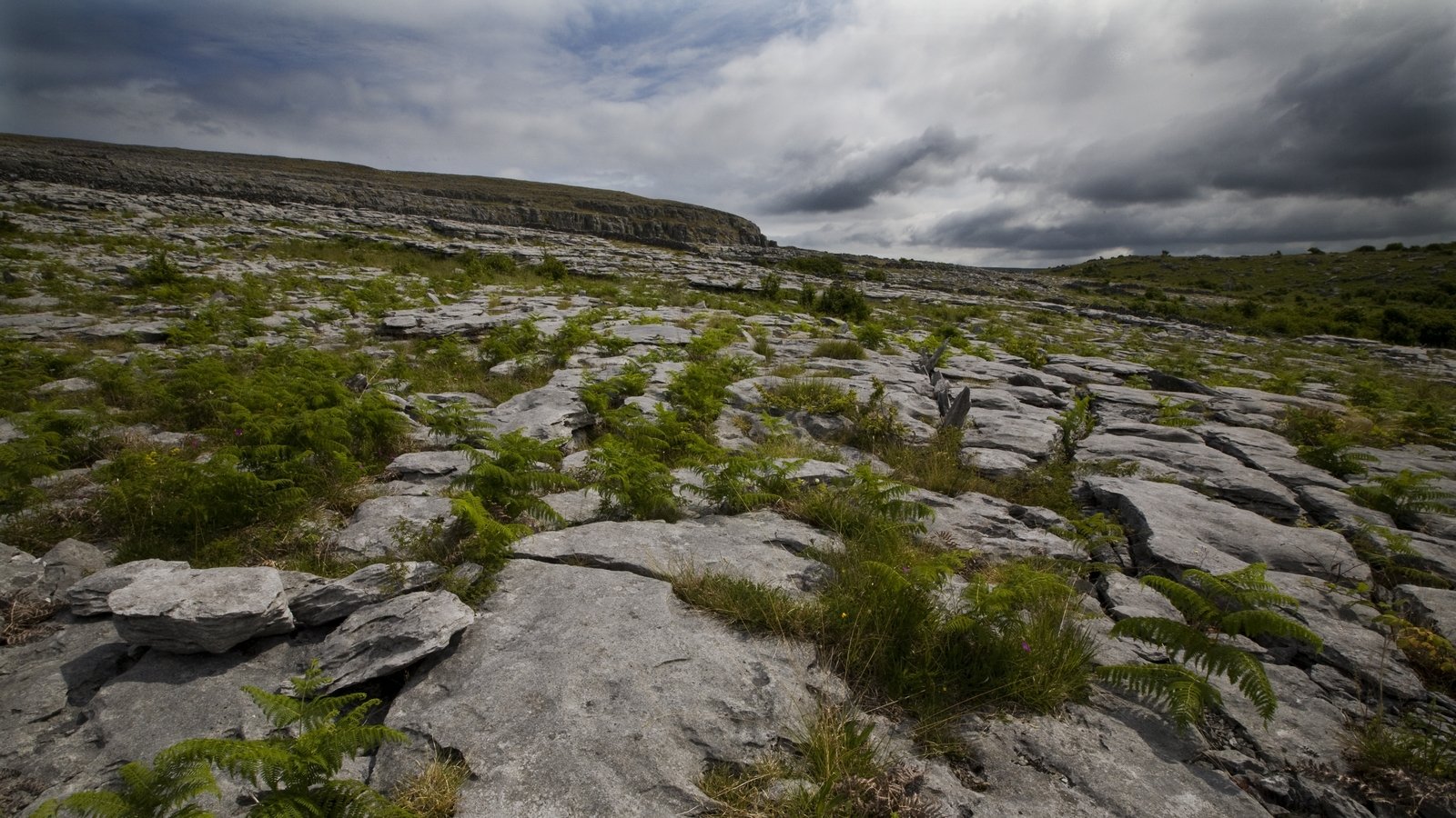 Farmer fined for destruction of rare limestone habitat