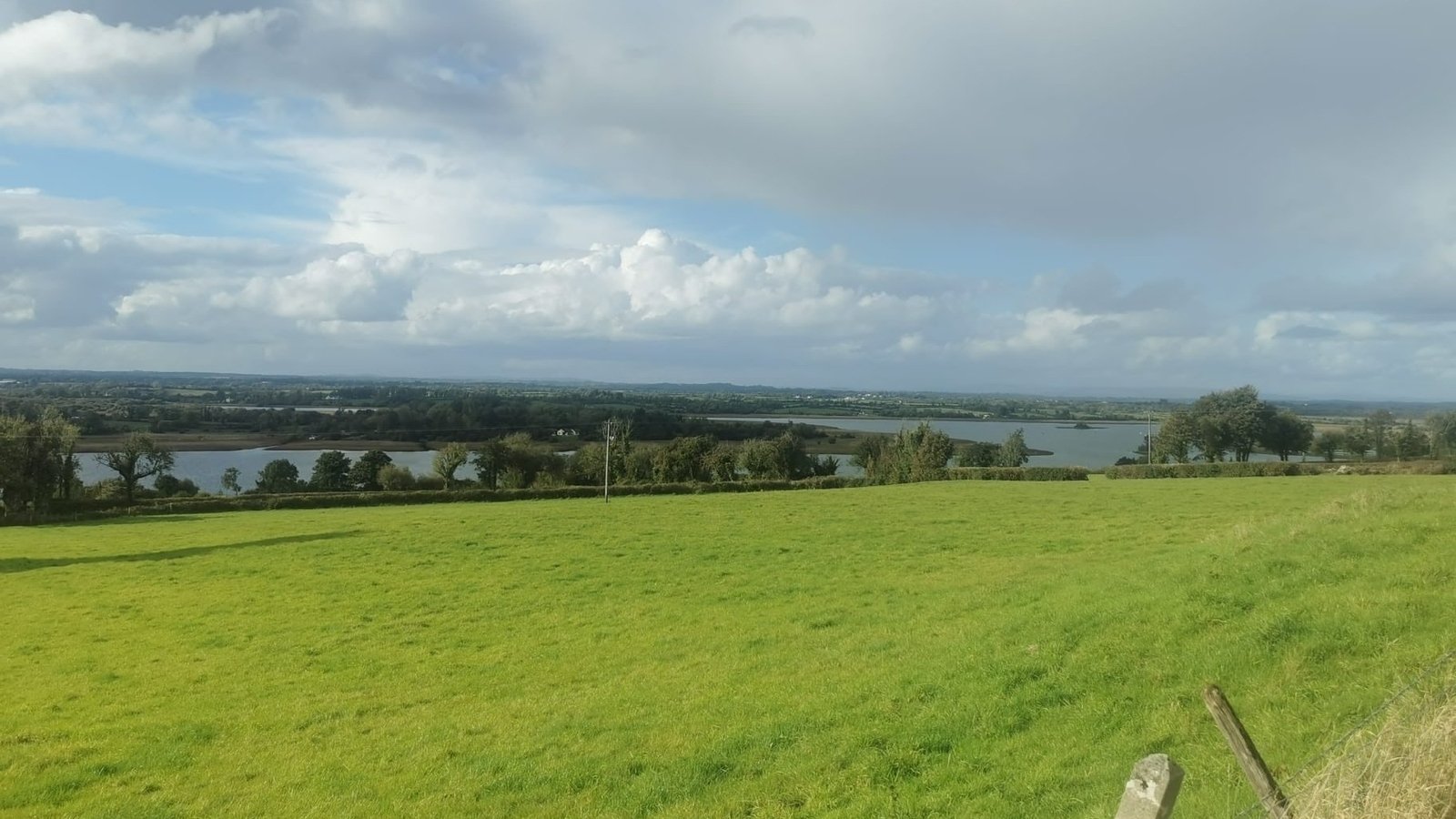 Group calls for planned Roscommon wind farms to be paused