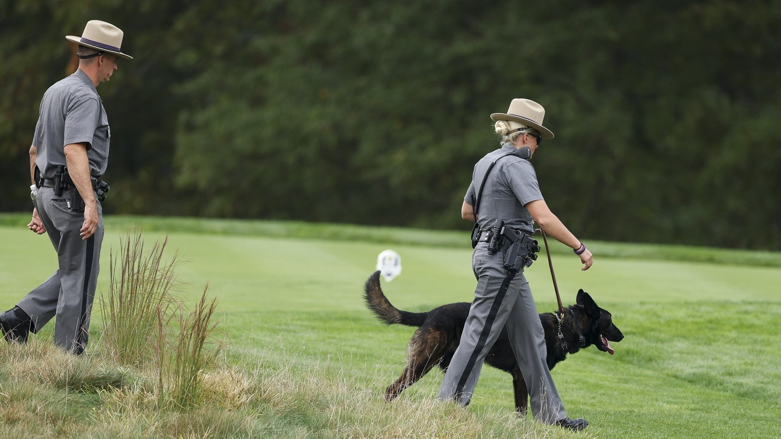 McIlroy wanted police to release the hounds