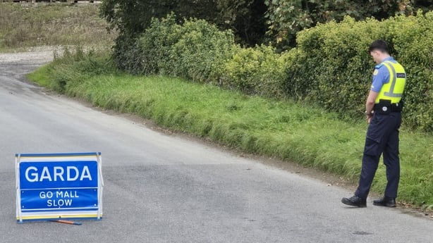 Gardaí at the scene in Drumgowna, Co Louth