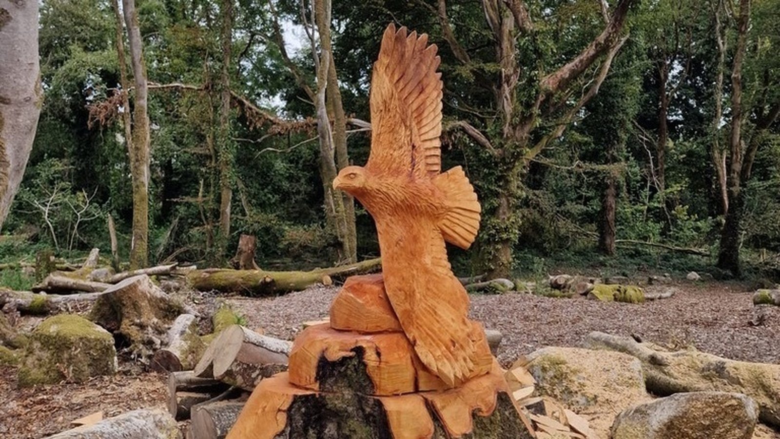 Birds, animals carved into fallen trees at Bearna Woods