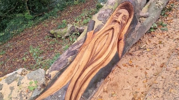 The face of a man with a long beard can be seen carved into a tree trunk in a forest clearing
