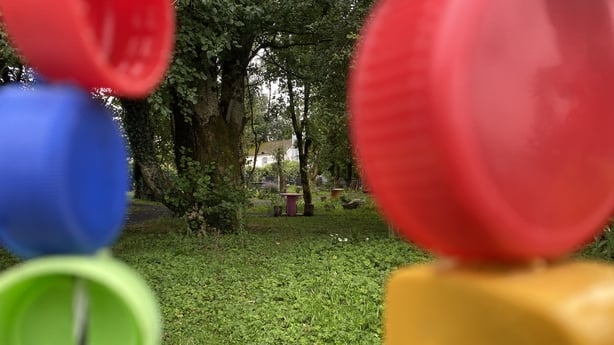 A sensory garden surrounded by trees