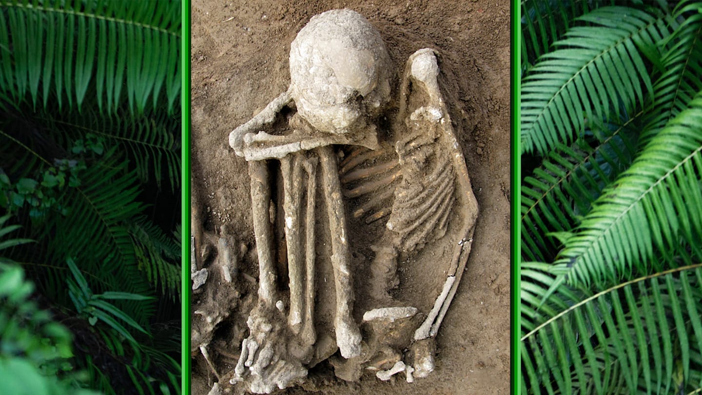 One of the sets of human remains examined in the new study of smoke-mummification in southeastern Asia.