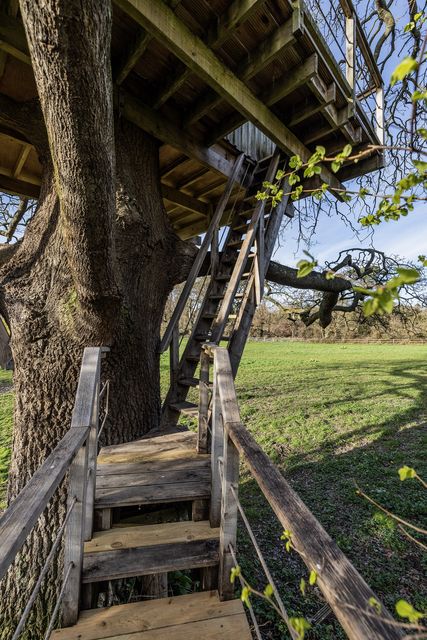The steps up to the treehouse
