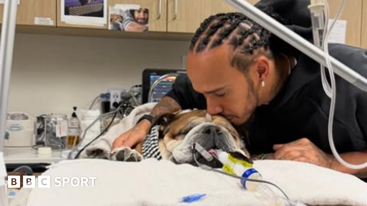 Sam Allardyce gives a thumbs-up