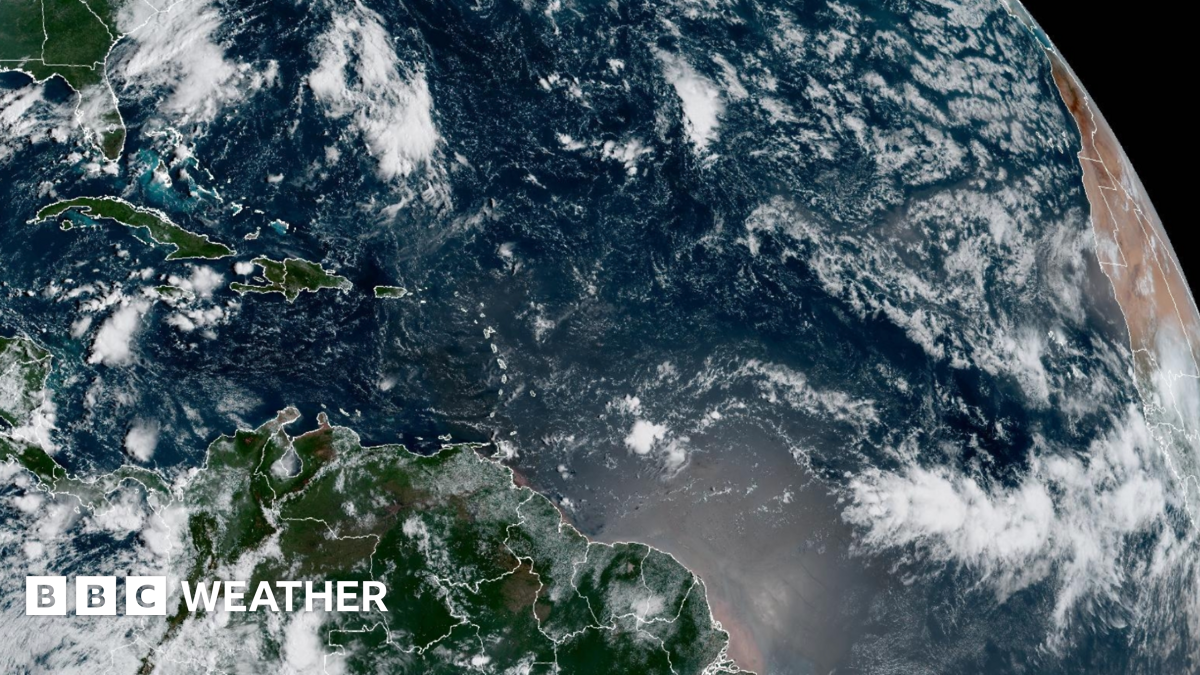 Illuminated: The Cat Killer Detectives