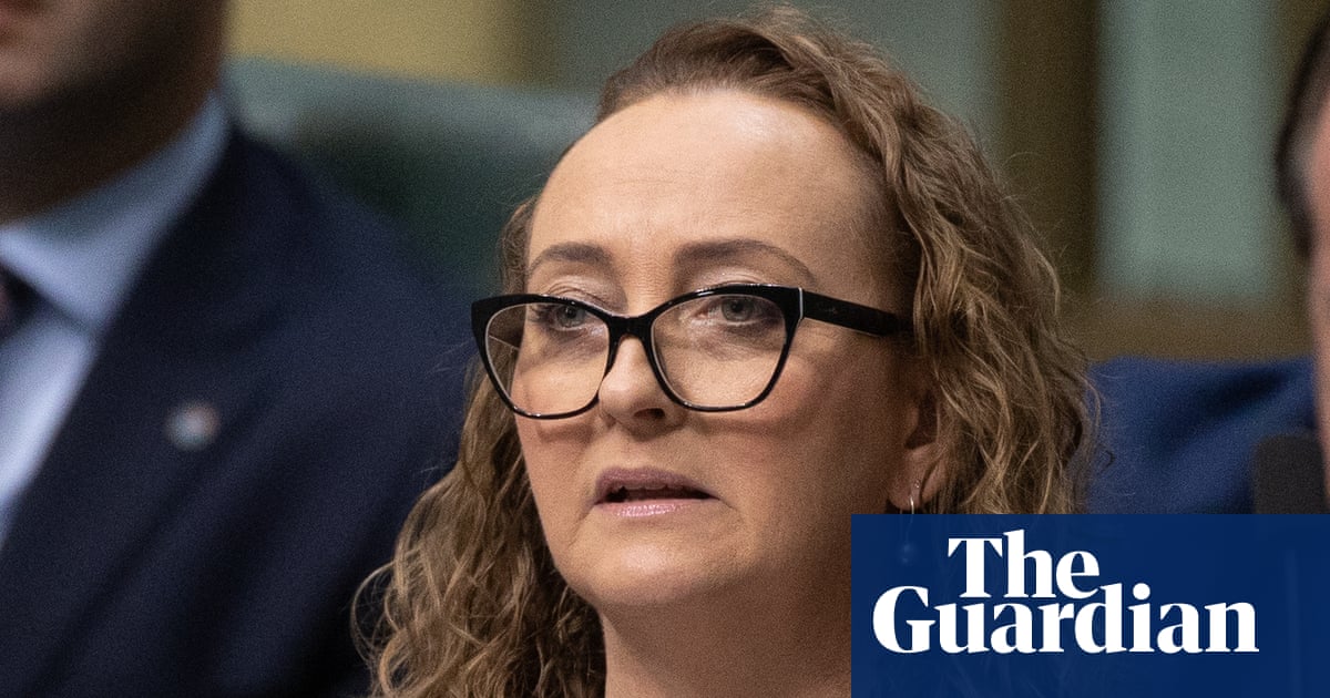 Labor MP questions Albanese on claim ‘good people’ went to anti-immigration rallies | Australian politics