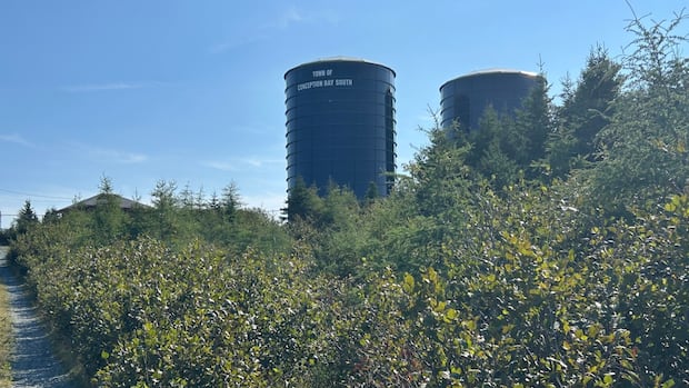 C.B.S. expected to run out of water Tuesday night, following water main break