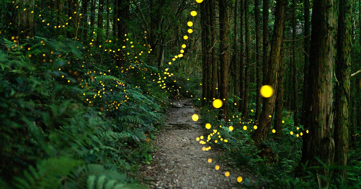 Many Adults Without a Religion Hold Spiritual Beliefs Globally