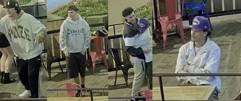 Four sought by police over Dunedin assault