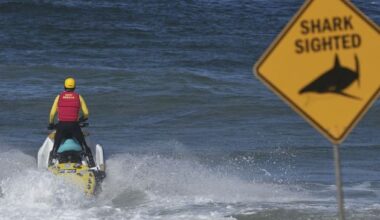 Beaches closed after shark kills man in his 50s near Sydney