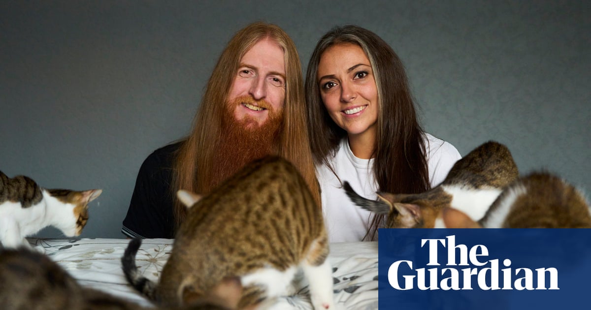Couple tell of ordeal when kittens went missing after being left in plane hold | Cats