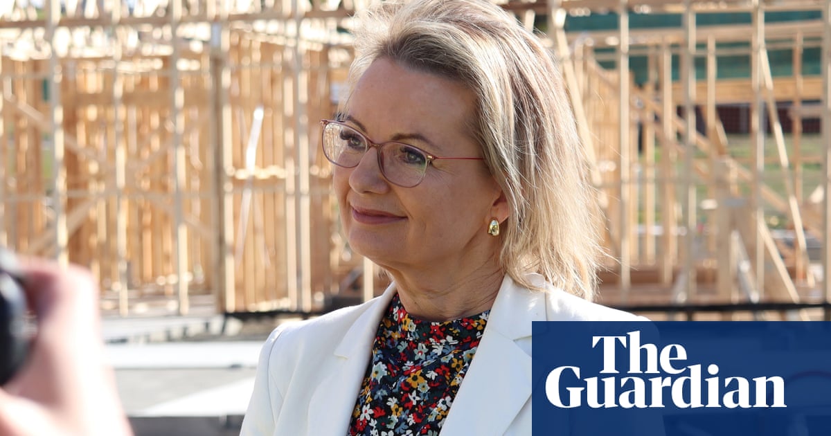 Senior Liberal insists ‘knives not being sharpened’ for Ley in messy wake of Nampijinpa Price demotion | Liberal party