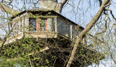 ‘I always wanted a place with a treehouse and its own island’