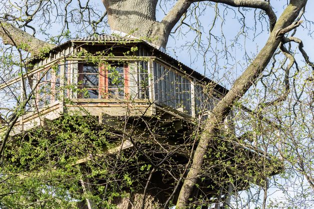 ‘I always wanted a place with a treehouse and its own island’