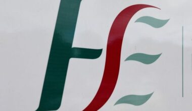 Twelve babies born alive after pregnancy terminations in 2022, HSE confirms