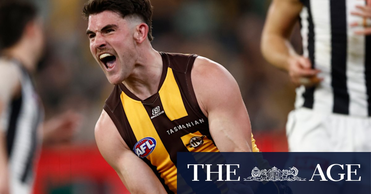 How 17 clubs missed out on Hawthorn Hawks star Jai Newcombe