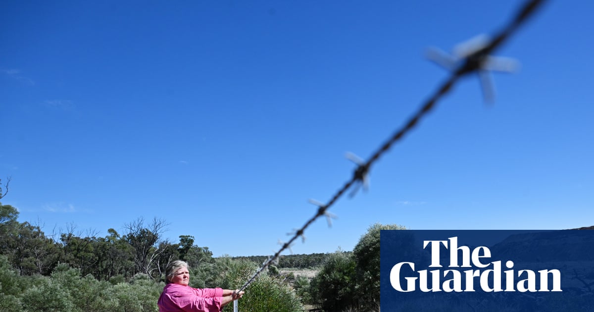 Mining companies leave many Queensland farmers’ land barren and broken. When they go belly up who pays for rehabilitation? | Queensland