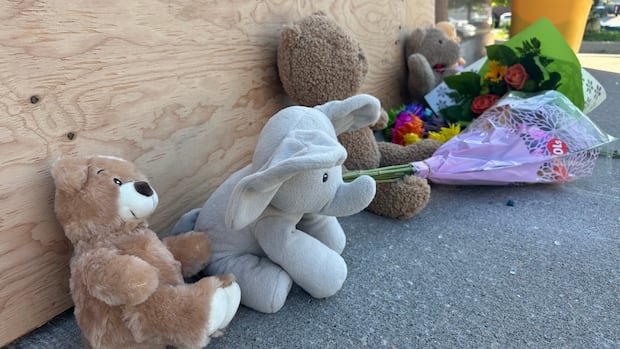 Family of toddler killed in Richmond Hill daycare crash speaks out, demands accountability