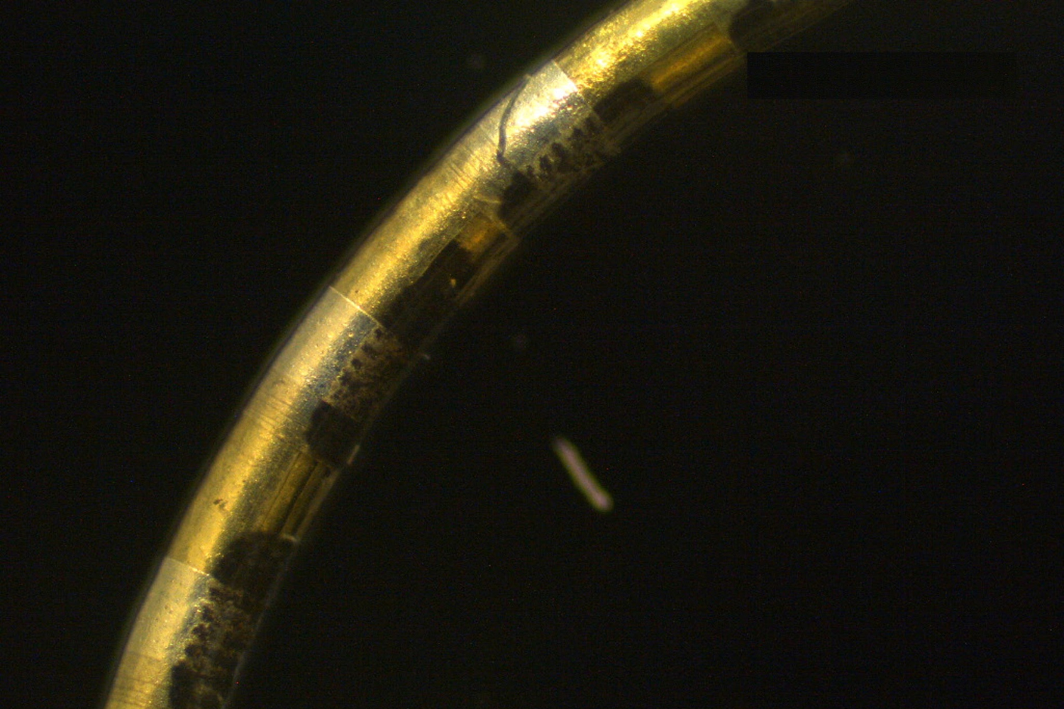 Closeup detail of neurostring