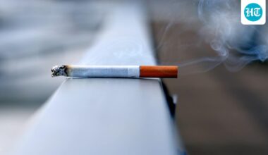 Pulmonologist reveals 5 food items that help in reversing damage caused by smoking: Apples, broccoli, green tea and more