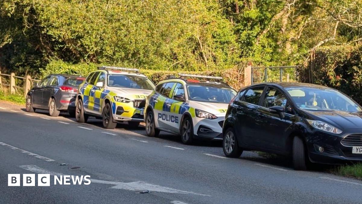 Two police cars and two black vehicles parked beside a road with trees in the background. The photo is taken from the opposite side of the road