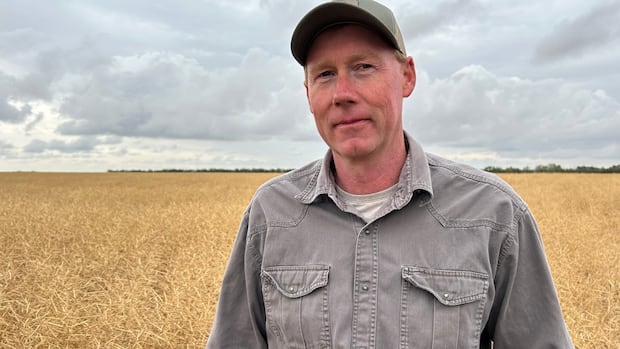 Canola farmers feel the pinch as tariffs threaten profits