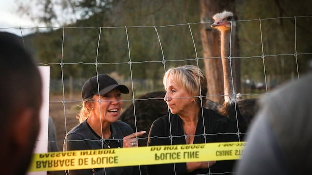 2 people arrested at B.C. ostrich farm facing cull over avian flu