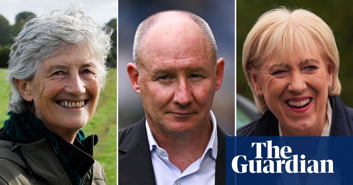 Irish presidential election candidates confirmed as three-way race begins | Ireland