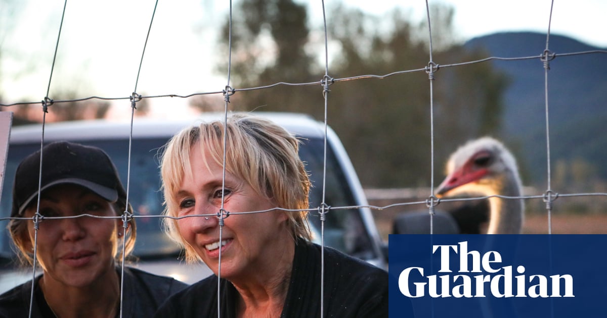 Canada: order to cull over 400 ostriches sparks protests and death threats | Canada