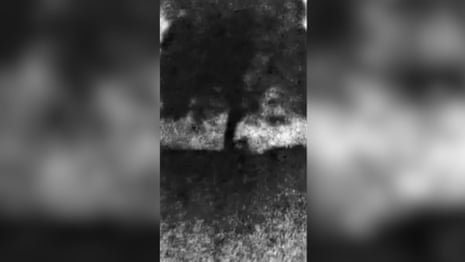 Footage shows the moment Sycamore Gap tree is felled – video