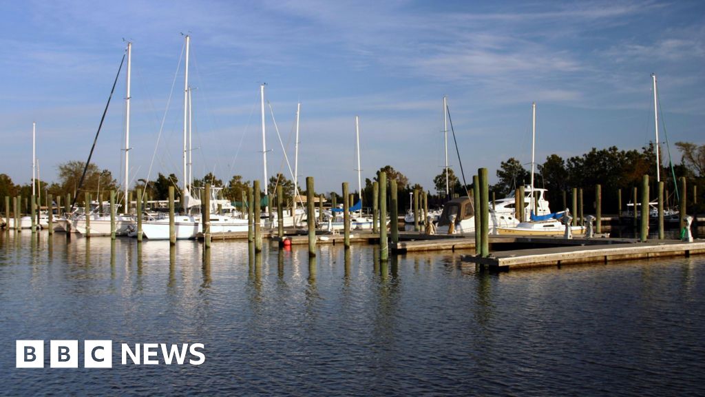Three dead and several injured after shooting at US waterfront bar