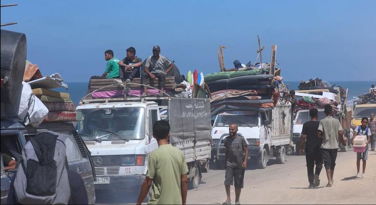 Gaza: UN rights office deplores deadly strikes on Palestinians gathering firewood