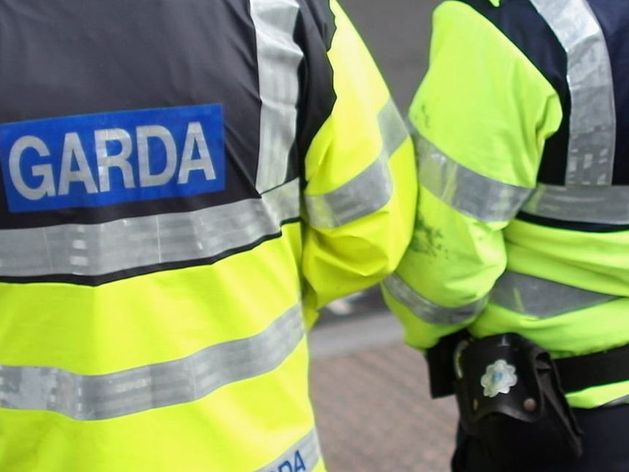 Gardaí investigating after report of shots fired at halting site in Limerick