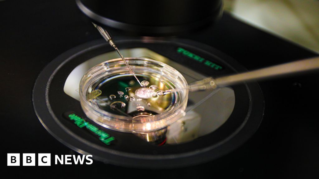 Human skin DNA fertilised to make embryo for first time