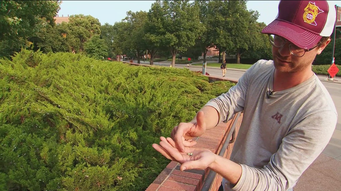 U of M workers walk off the job, services disrupted