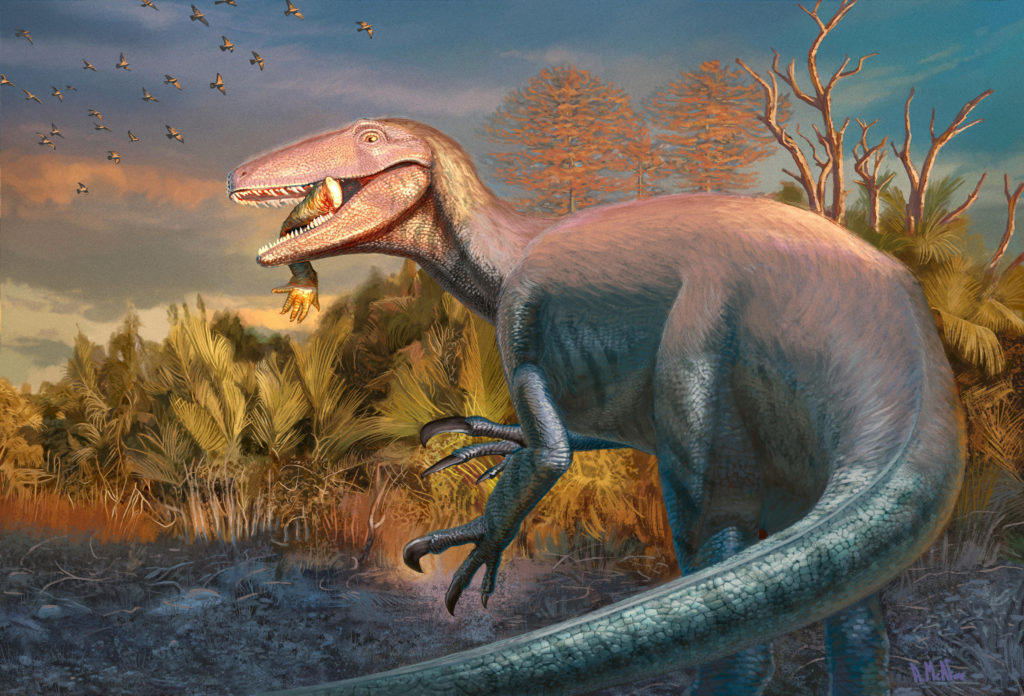 An artist's impression of the Cretaceous meat-eating dinosaur Joaquinraptor