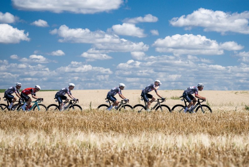 A group of cyclists in grey jerseys and helmets riding in a line through a golden wheat field under a bright blue sky with fluffy white clouds.