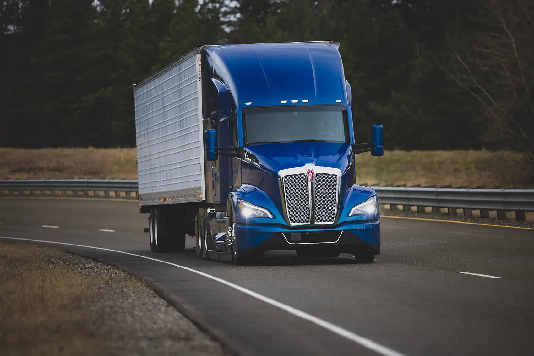 A blue freight truck in the foreground on a highway flanked by grass and dark trees in the background.