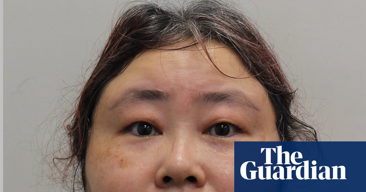 Woman admits UK bitcoin fraud charges after ‘world’s largest’ crypto seizure | Crime