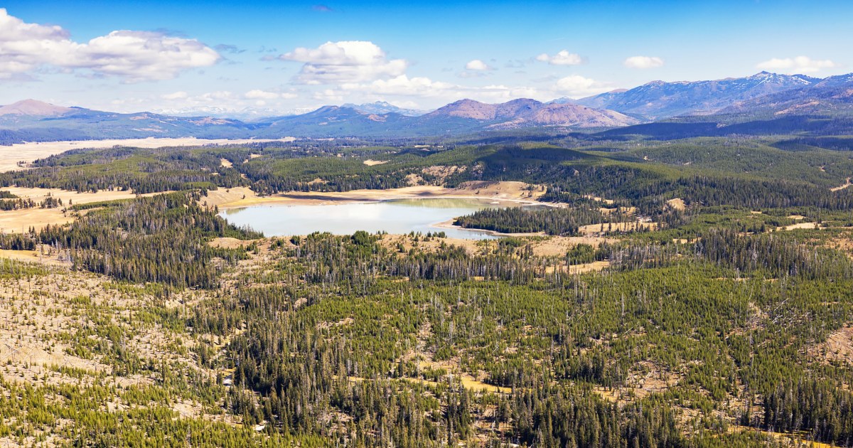 Bear attacks Yellowstone hiker