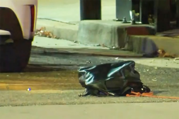 A bag removed from the trunk of the vehicle.