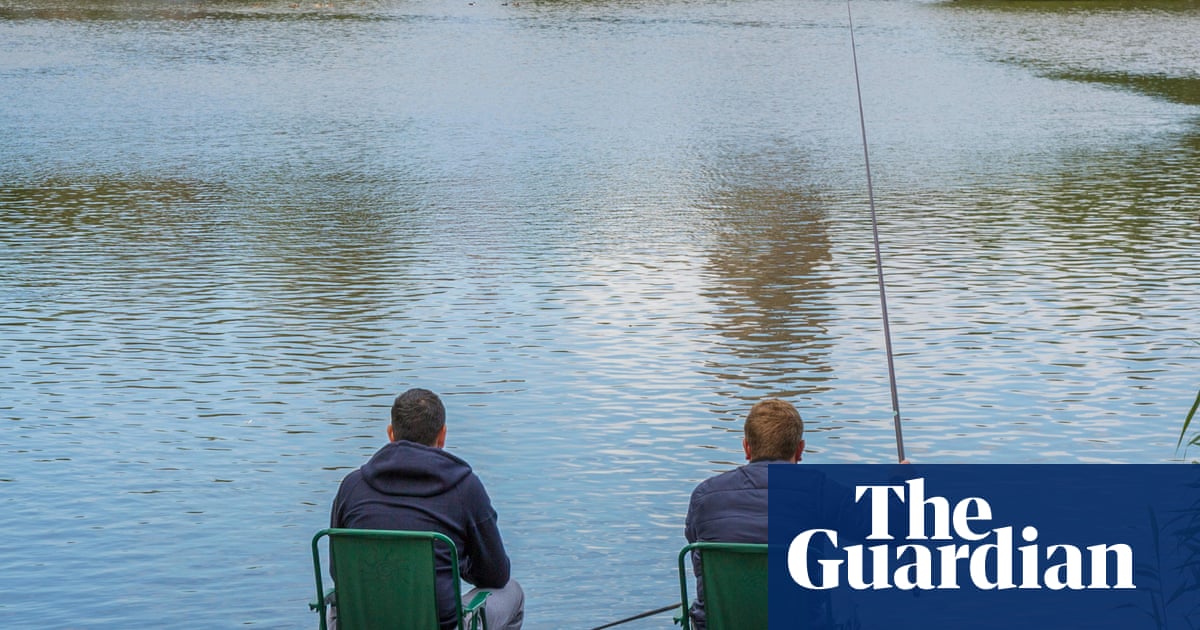 Shouting and stroking ponies outlawed by rural councils in England as antisocial behaviour | Rural affairs