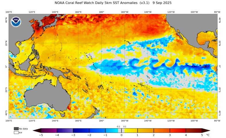 La Niña more likely this year after BoM switches to new index