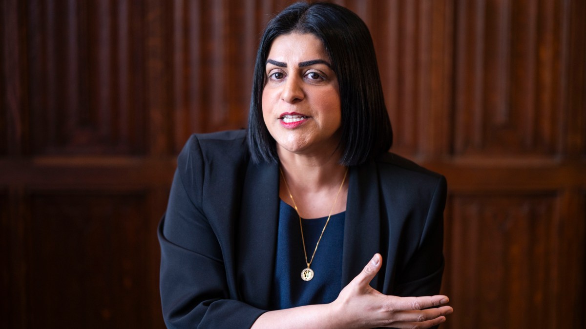 Ministers plan human rights overhaul to head off Farage - The Times