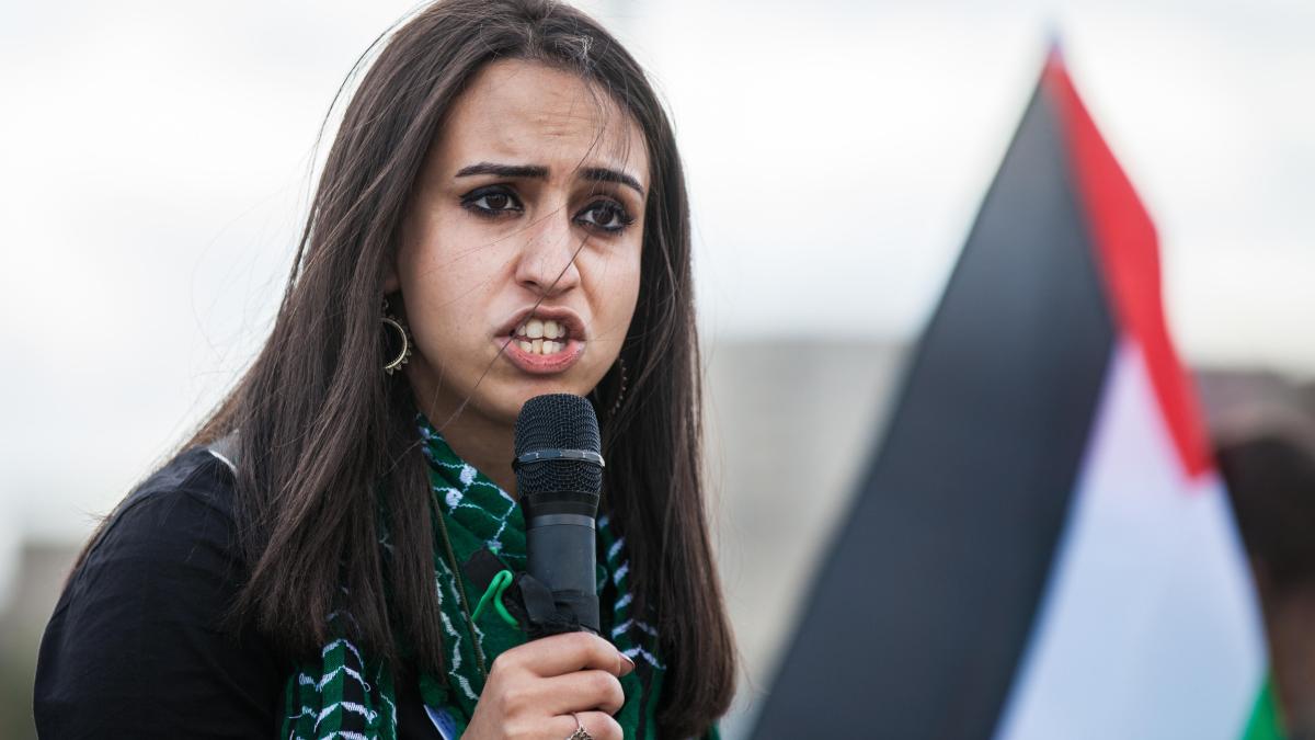 Palestine Action’s appeal against ban ‘a recipe for chaos’