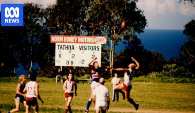 Once dismissed as 'aerial ping-pong', AFL is growing on the Barassi Line
