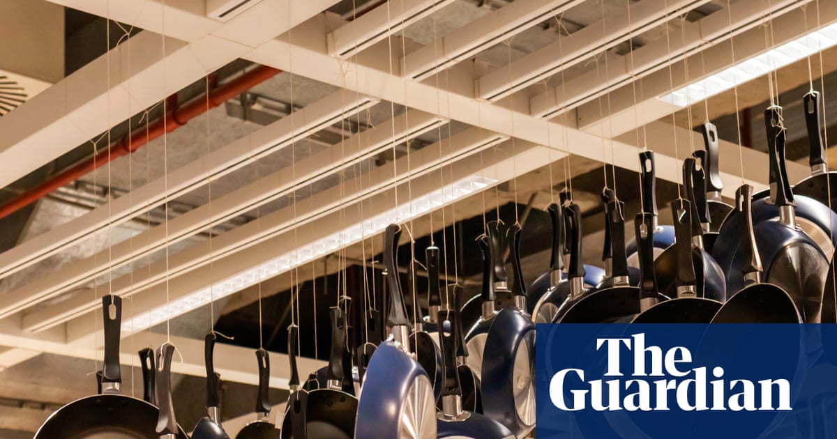 Teflon diet, garlic milk and zebra cows triumph at 2025 Ig Nobel prizes | Ig Nobel prizes